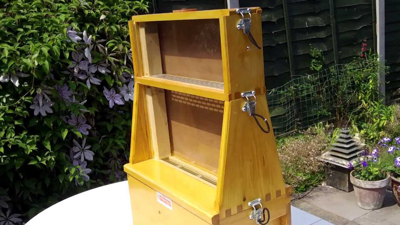 Modular Observation Hive