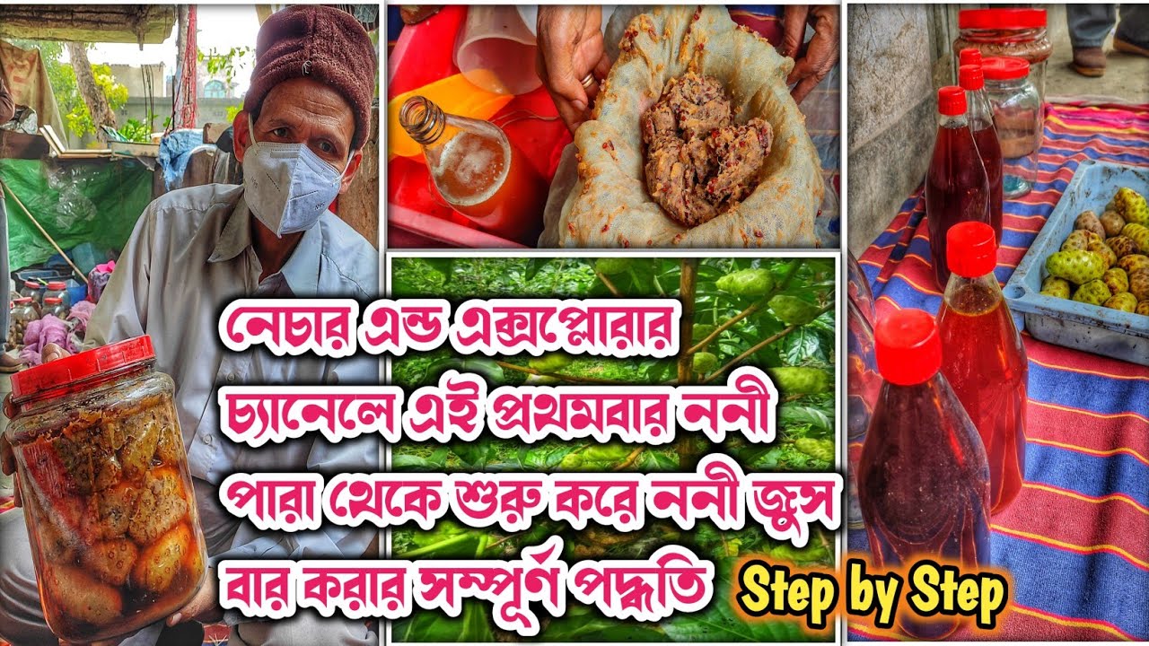 ননী ফলের থেকে নোনি জুস বার করার সম্পূর্ণ পদ্ধতি, প্রযত্নে Nature Pod || Noni Juice Processing.