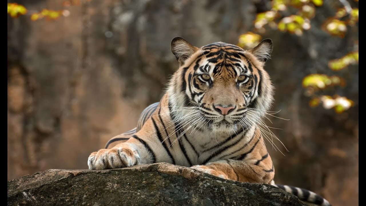 National Endangered Species Day SECTA