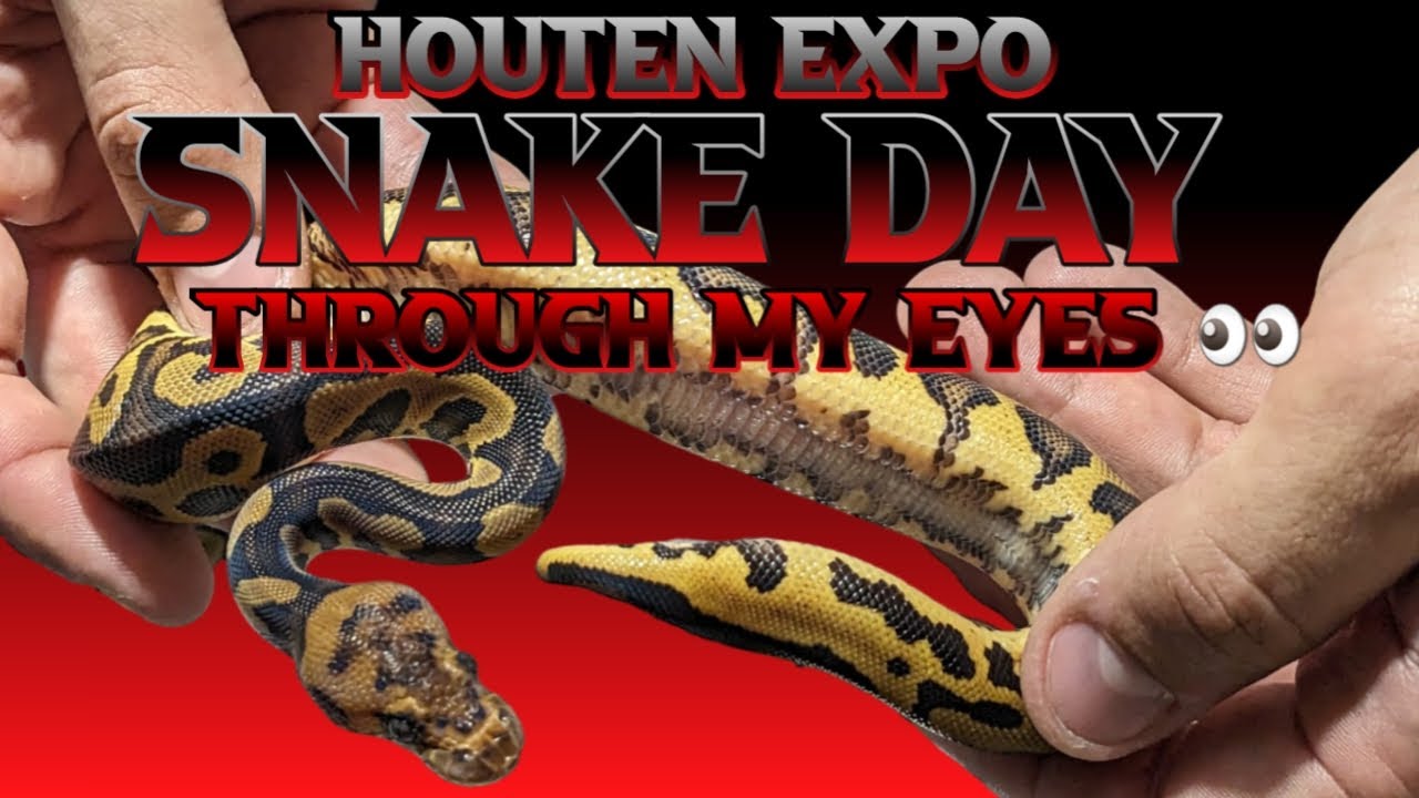 Houten expo on snake day through my eye's 👀. 