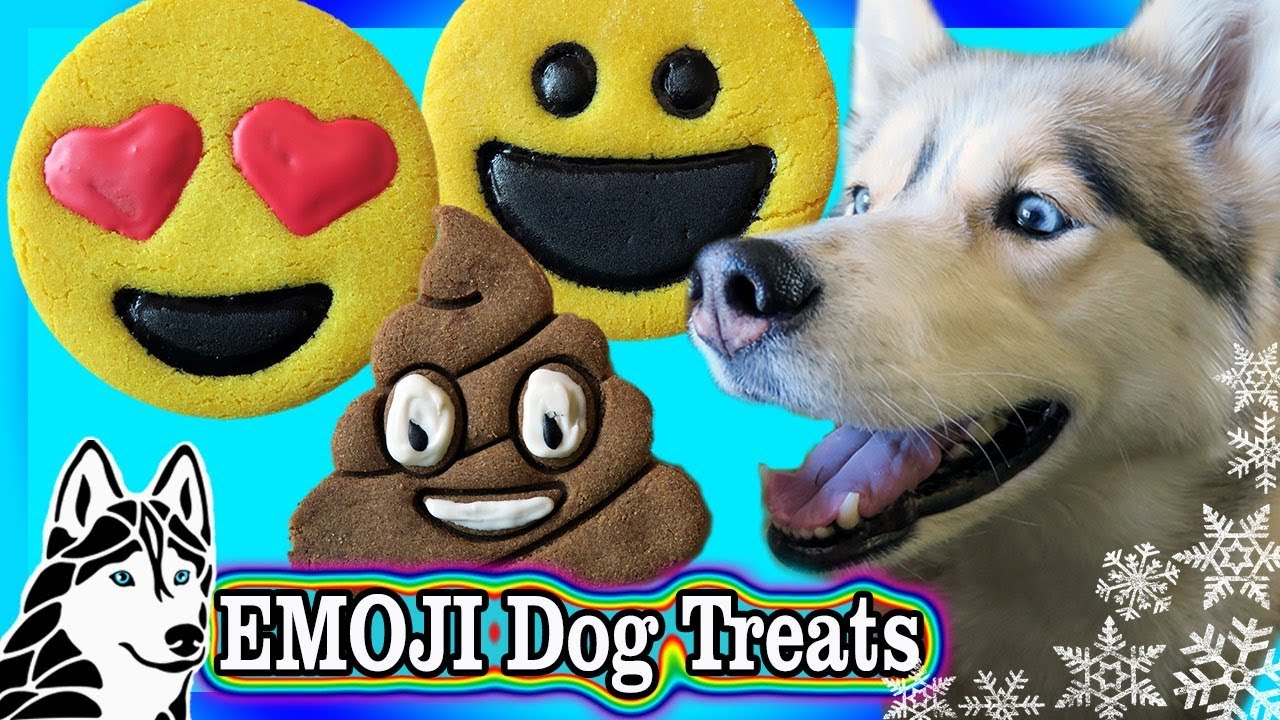 DIY EMOJI COOKIES FOR DOGS | DIY Dog Treats | Snow Dogs Snacks 77