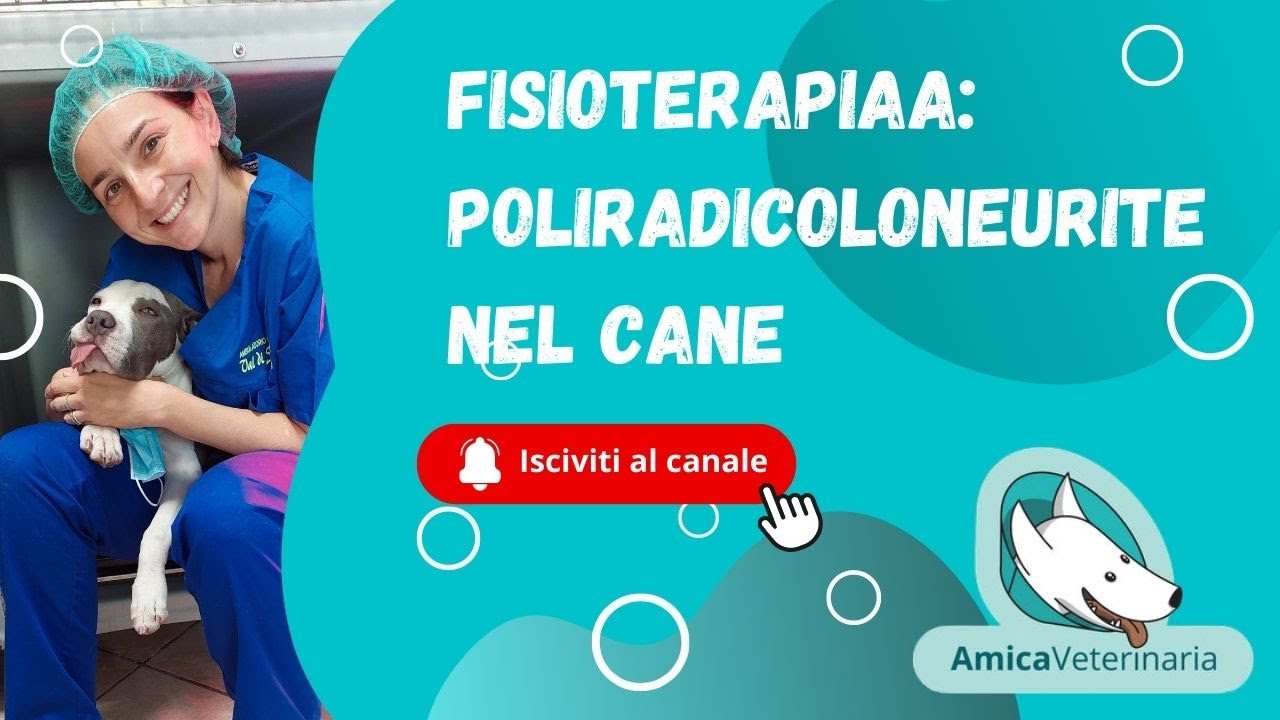Fisioterapia per poliradicoloneurite nel cane