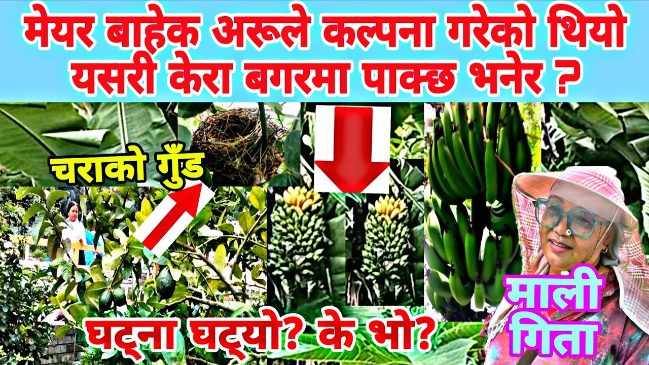 श्रम संस्कृति पार्क भित्र कसैले नसोचेको घटना घटेको छ? के हो त्यो ?