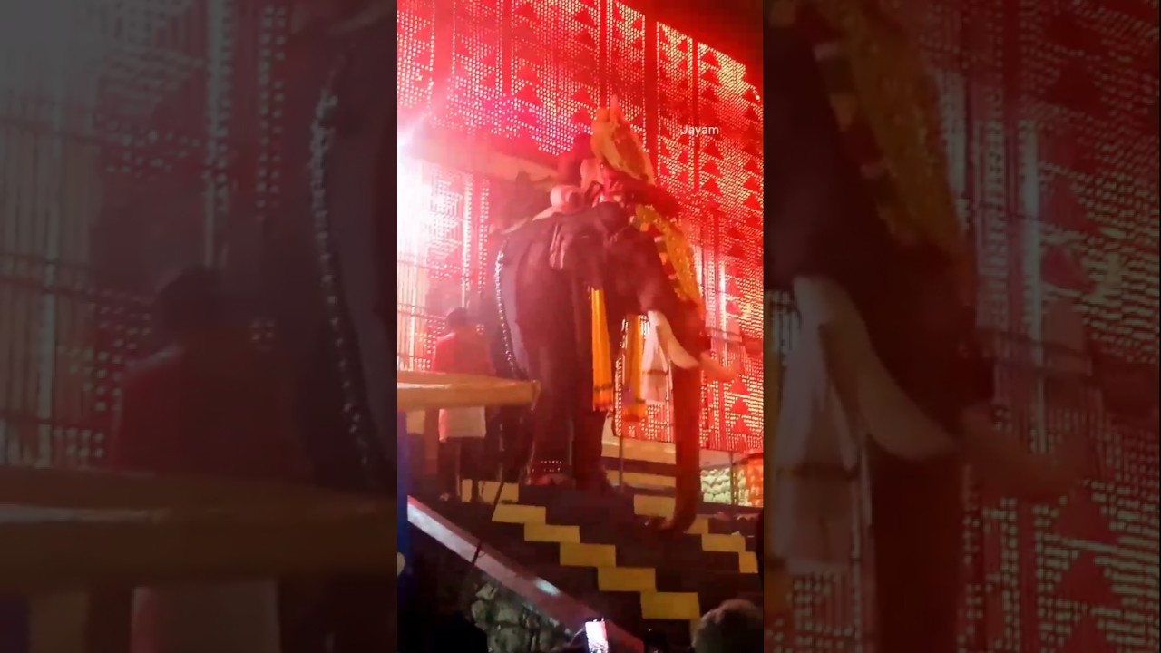 കിളിരൂർകുന്നിലമ്മയുടെ തിടമ്പേറ്റി പാമ്പാടി രാജൻ.. #shortsfeed  #shortvideo  #elephant #ulsavam