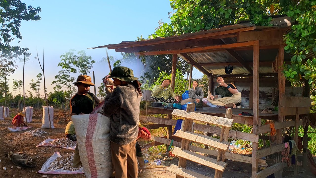 Enjoy a meal with family at ,Already harvesting potatoes
