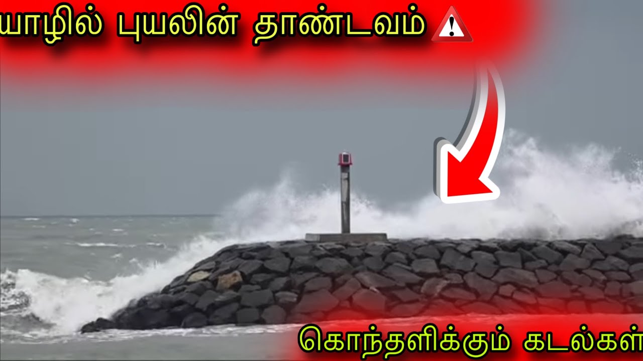 🛑சற்றுமுன் யாழில் புயலின் தாக்கம் |vishnu vlogs 
