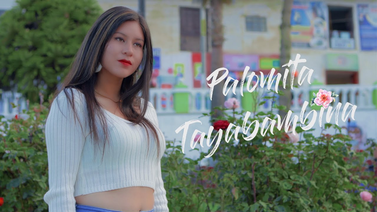 TAKI TAYA - Palomita Tayabambina (D.R.)