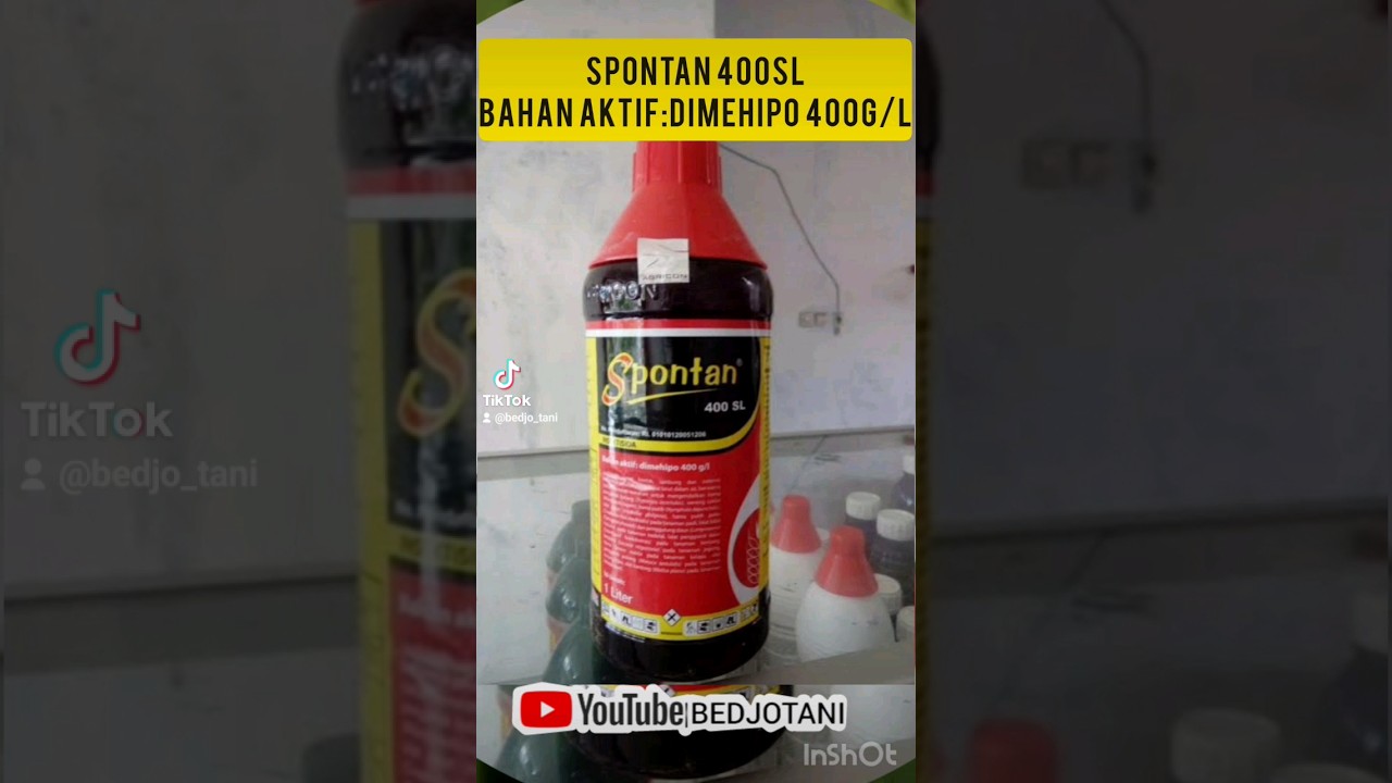 insektisida spontan 400sl obat kaper #petanimuda #petaniindonesiamaju #fypシ #viral
