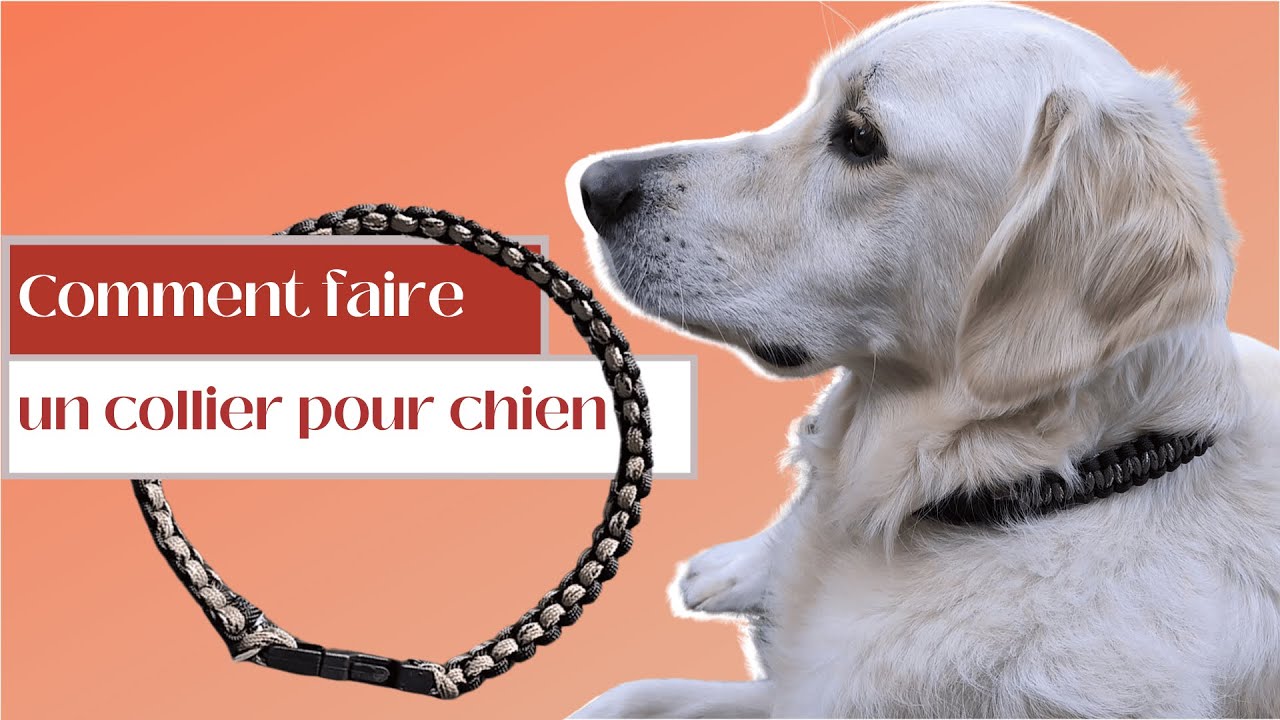 DIY collier pour chien - Technique tressage paracorde