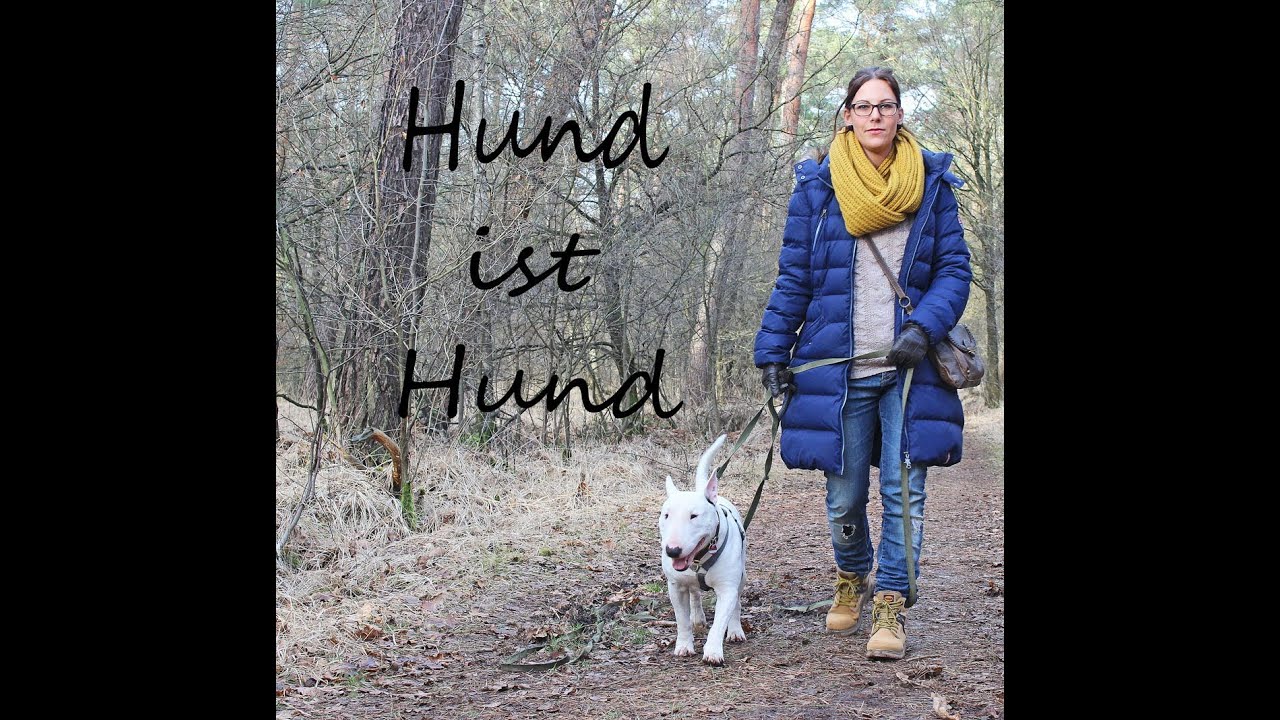 Hund ist Hund