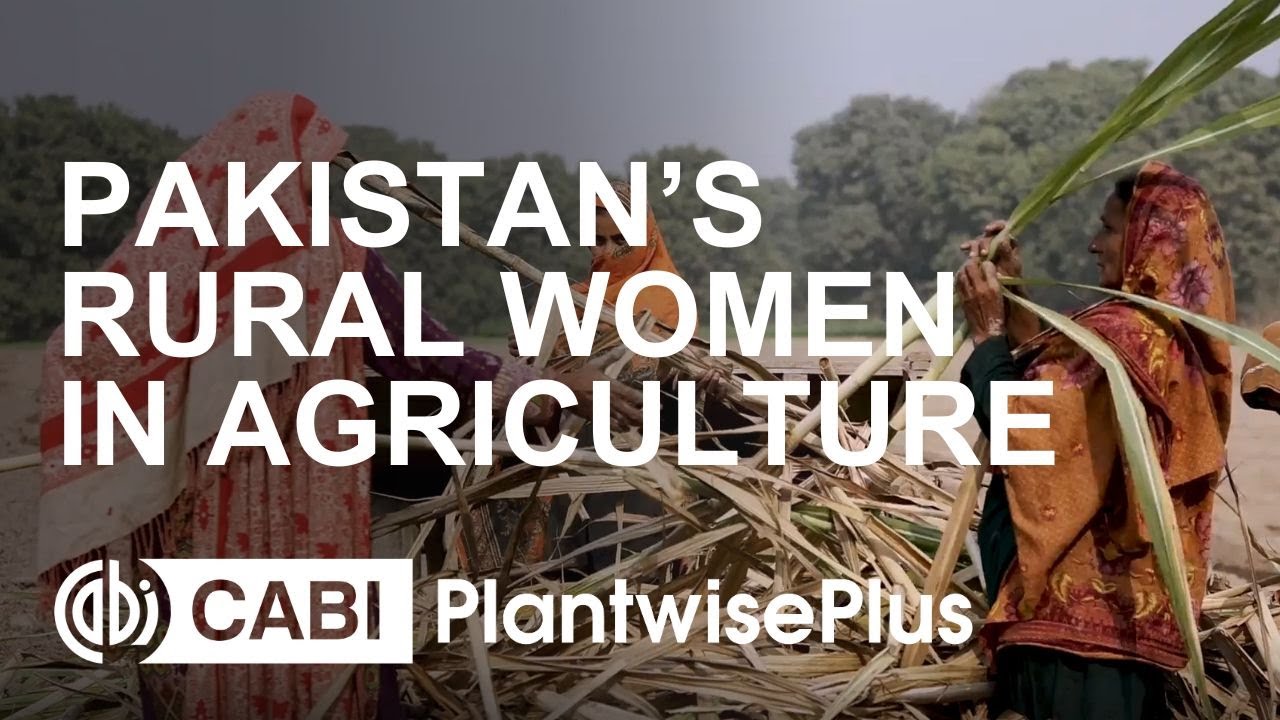 The role of rural women in agriculture in Pakistan