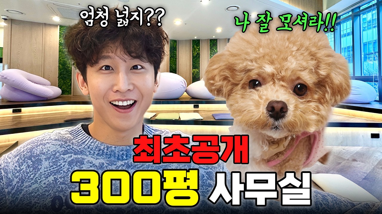 와.. 이게 다 우리꺼라구요? 드디어 모두가 놀란 사무실이 생겼습니다 (+새가족 소개) 