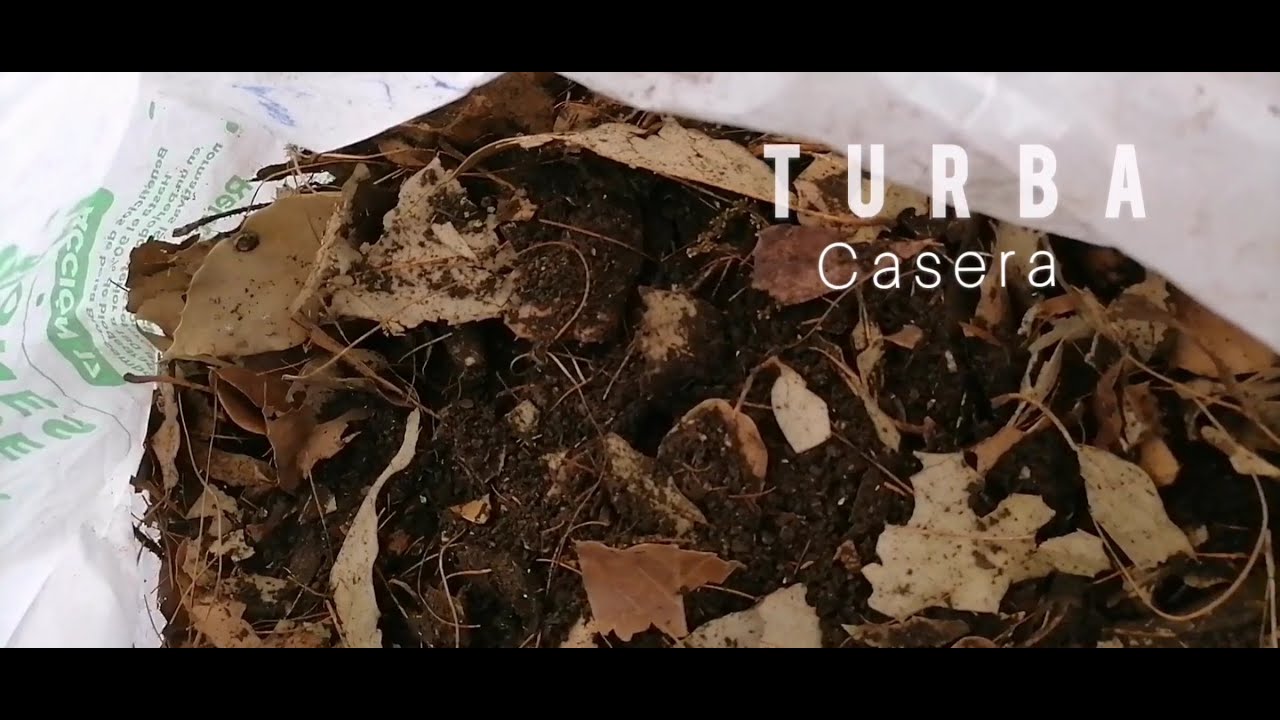 turba casera parte 1 l Canal 112 agricultura org&aacute;nica