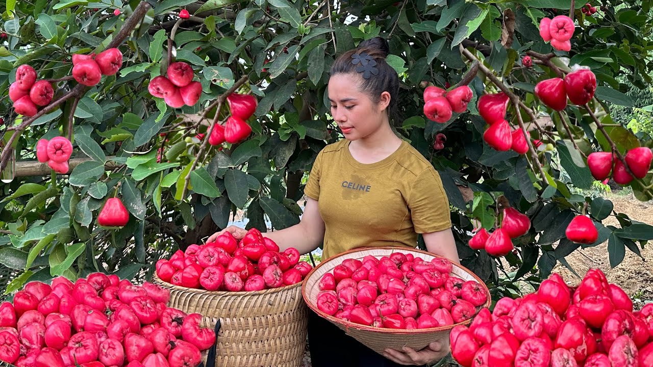 FULL VIDEO: 95 Days of harvesting agricultural products to sell at the market - cooking - daily life