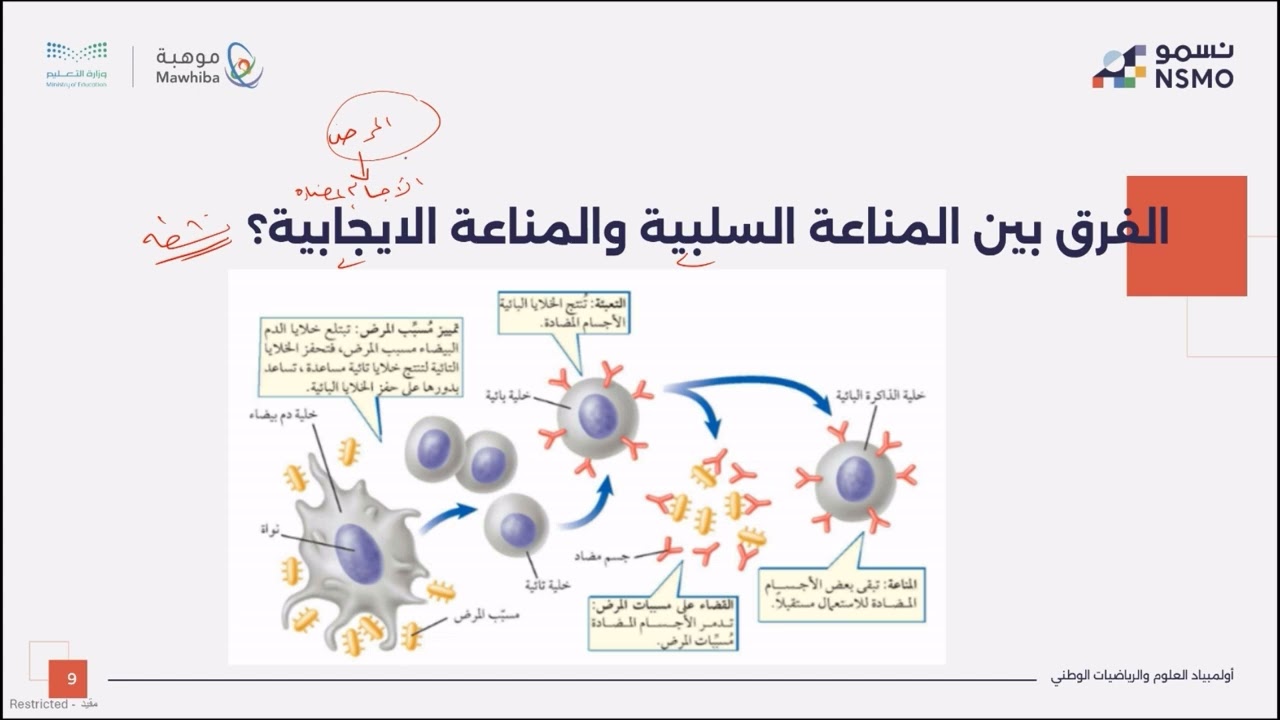 أولمبياد نسمو -تخصص الأحياء- الدرس الخامس والعشرون الجهاز اللمفاوي والمناعي