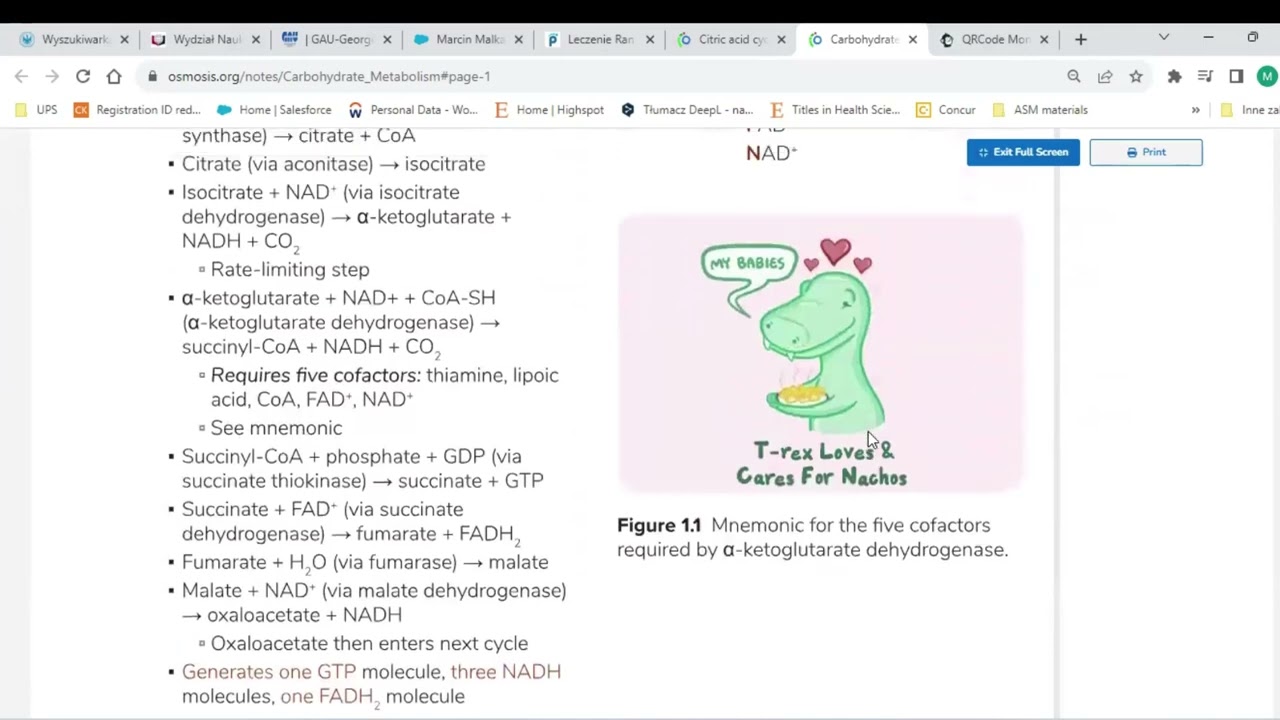 [UPJS] &Uacute;vodn&yacute; webin&aacute;r k Osmosis