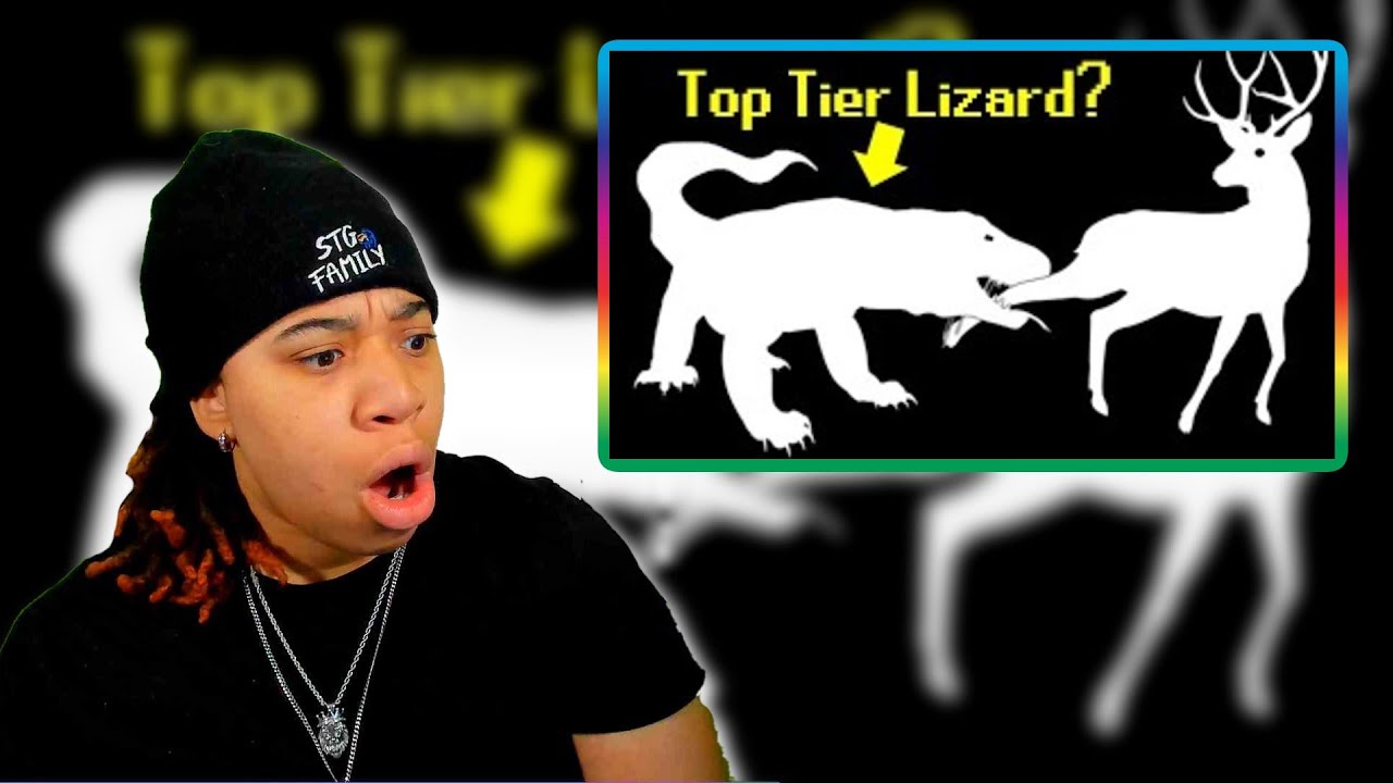 SimbaThaGod Reacts To The Lizard Tier List By TierZoo