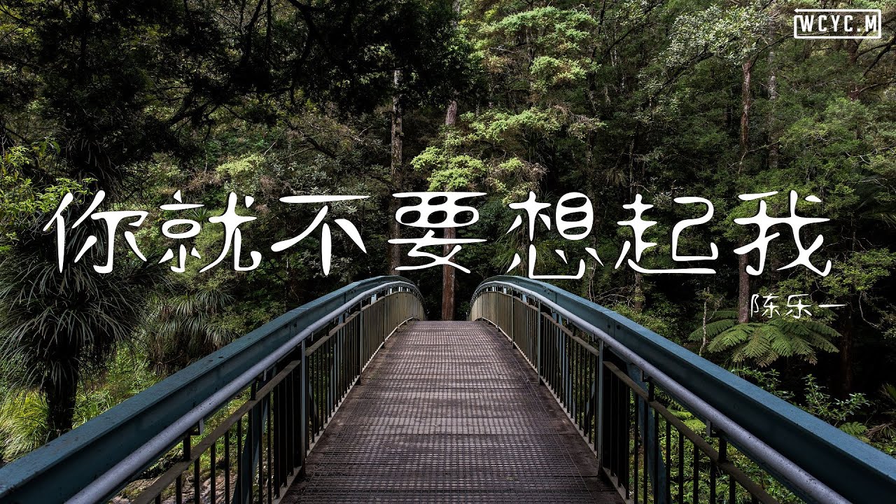陈乐一 - 你就不要想起我【動態歌詞/Lyrics Video】