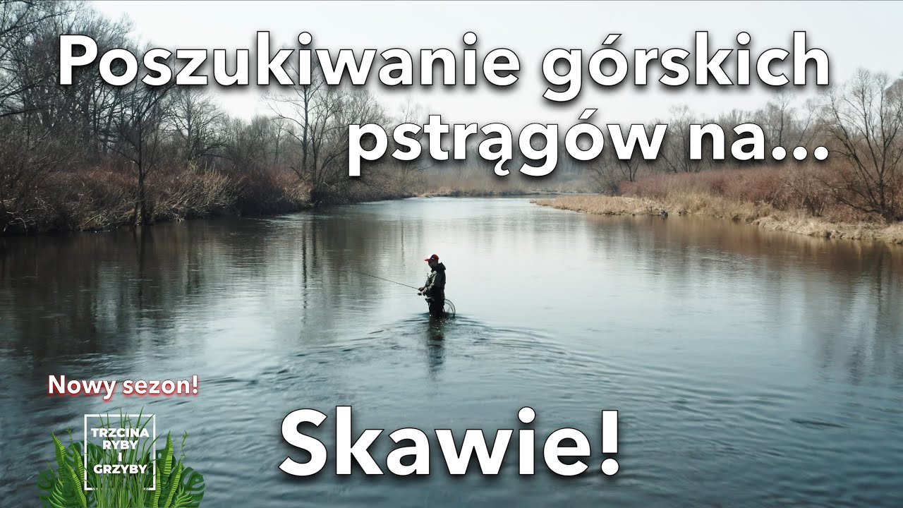 Poszukiwanie górskich pstrągów na... Skawie! Trzcina, ryby i grzyby