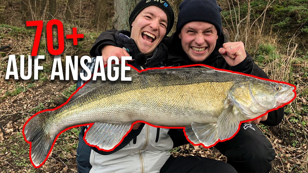 Zander angeln vom Ufer am See | 70+ auf Ansage in Brandenburg