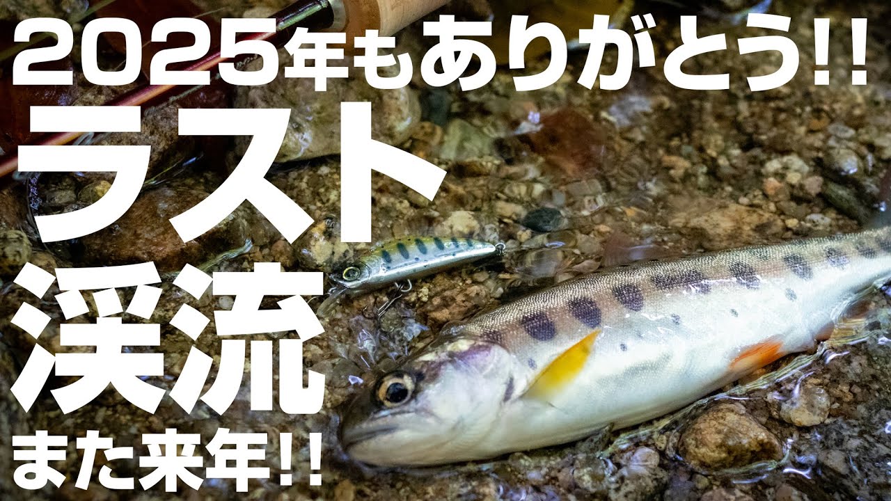【のんびり釣行】2025年ラスト渓流