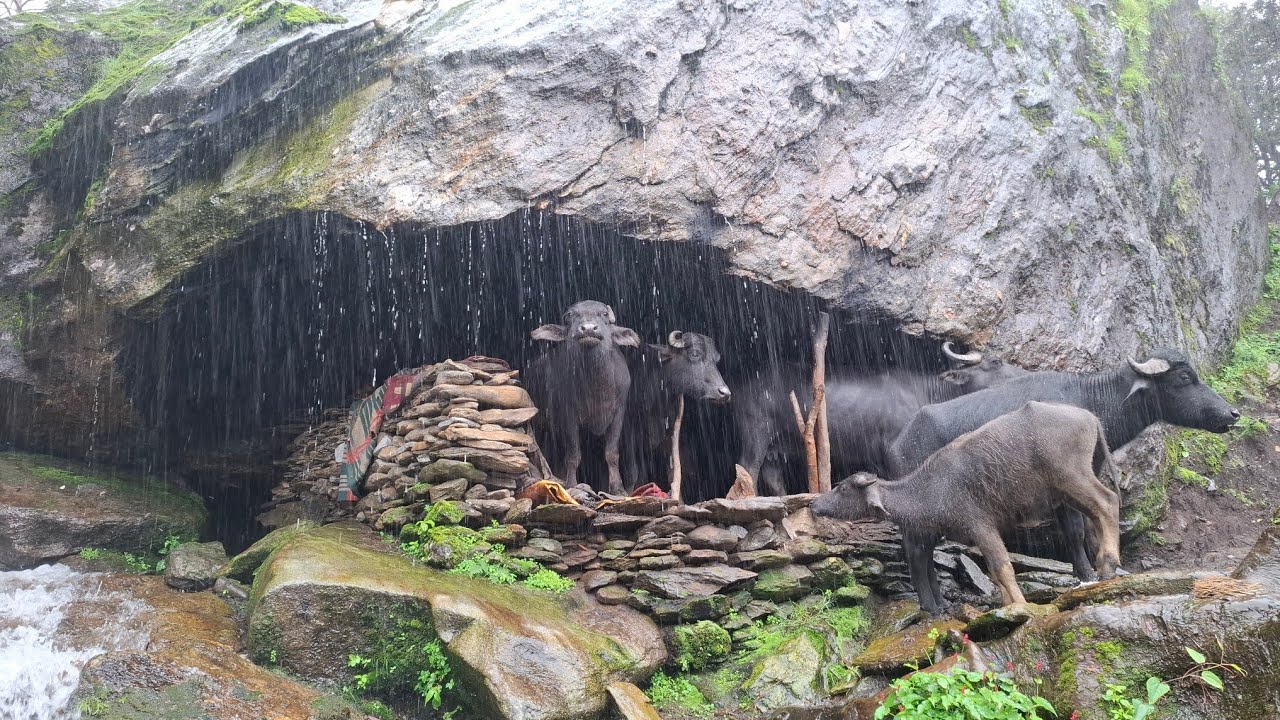 Real Nepali Mountain Village Life During the Rain || Peaceful Rural Village Documentary Video ||