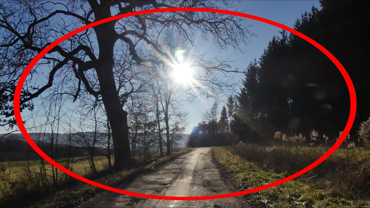 Panorama, Wald und Fluß zwischen Zwickauer Mulde und Vielau