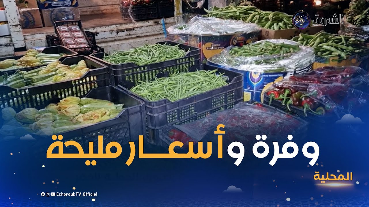 البليدة..وفرة واستقرار في الأسعار بسوق الجملة للخضر والفواكه ببلدية بوقرة