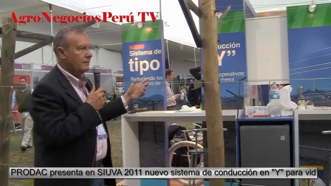 SISTEMA DE CONDUCCION EN 