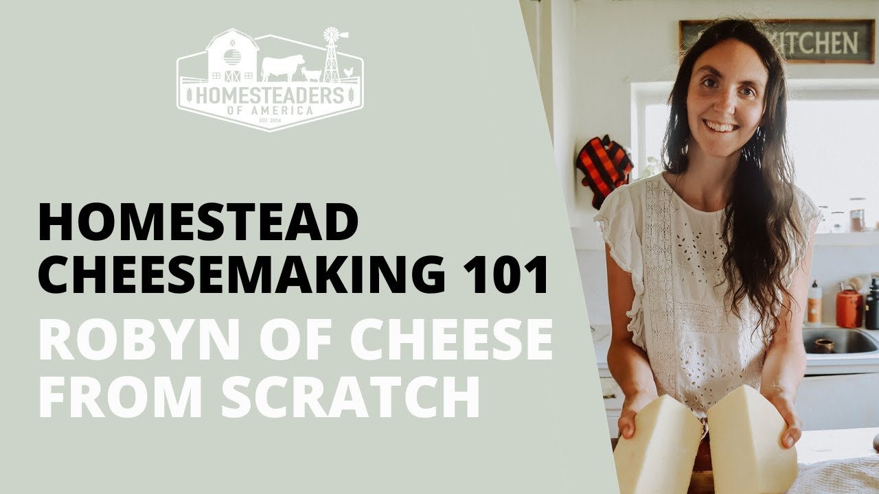 Homestead Cheesemaking 101 | Robyn of Cheese from Scratch