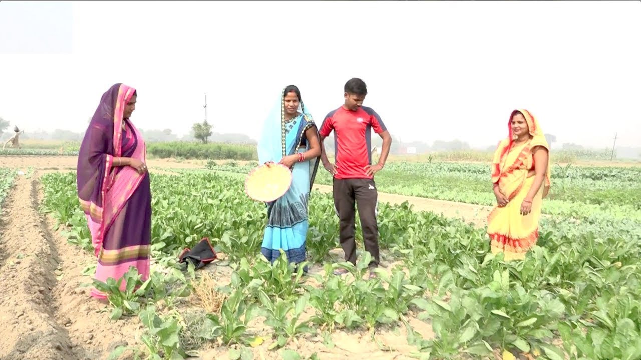 खेत की ताज़ी मूली पराठा और गोभी की सब्जी VILLAGE FRESH FOOD ANISHKA KA KITCHEN and YouTuber SACHIN
