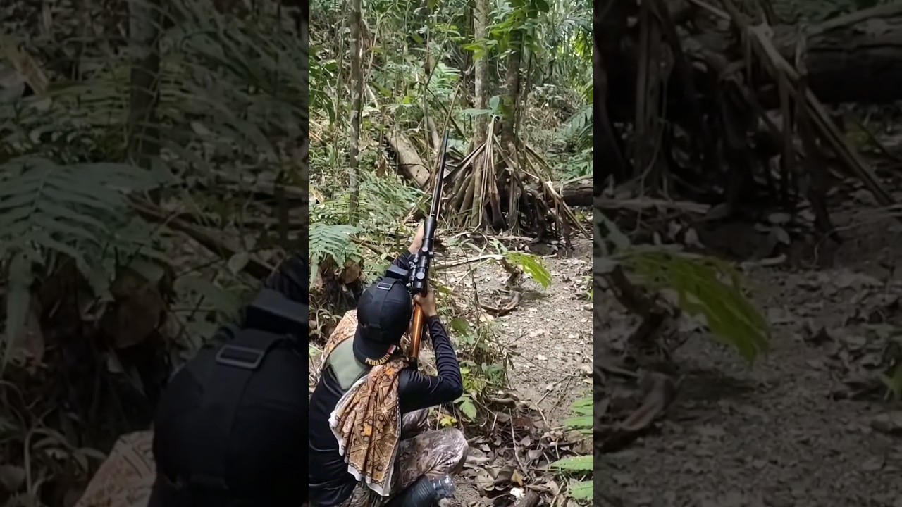 penembak jitu sedang membidik sasaran