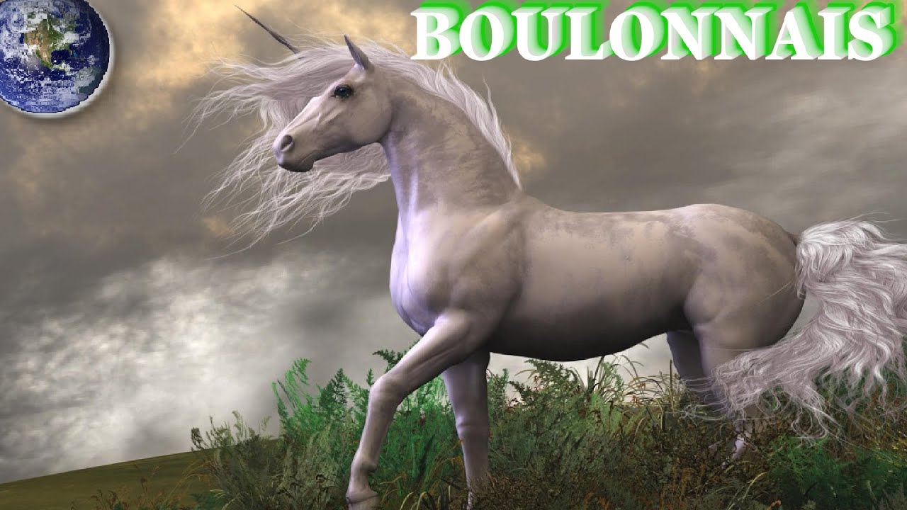 TOP Beautiful Boulonnais in the World!