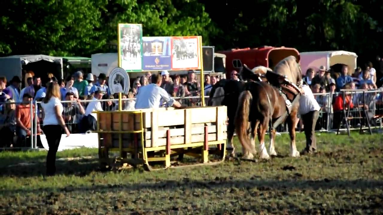 Zugleistung K&ouml;tzting 2010  -  Horses pulling in K&ouml;tzting, Germany 2010