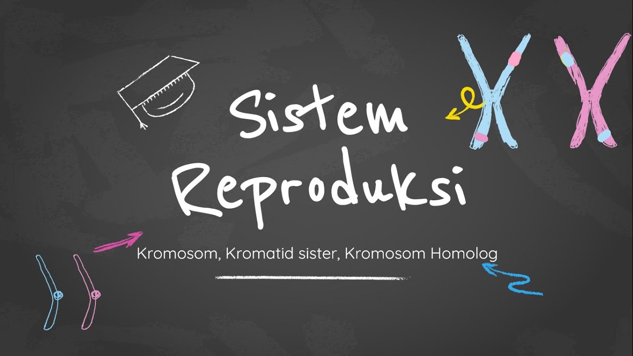 SISTEM REPRODUKSI- Kromosom, Kromatid sister, Kromosom Homolog??? Crossing over?