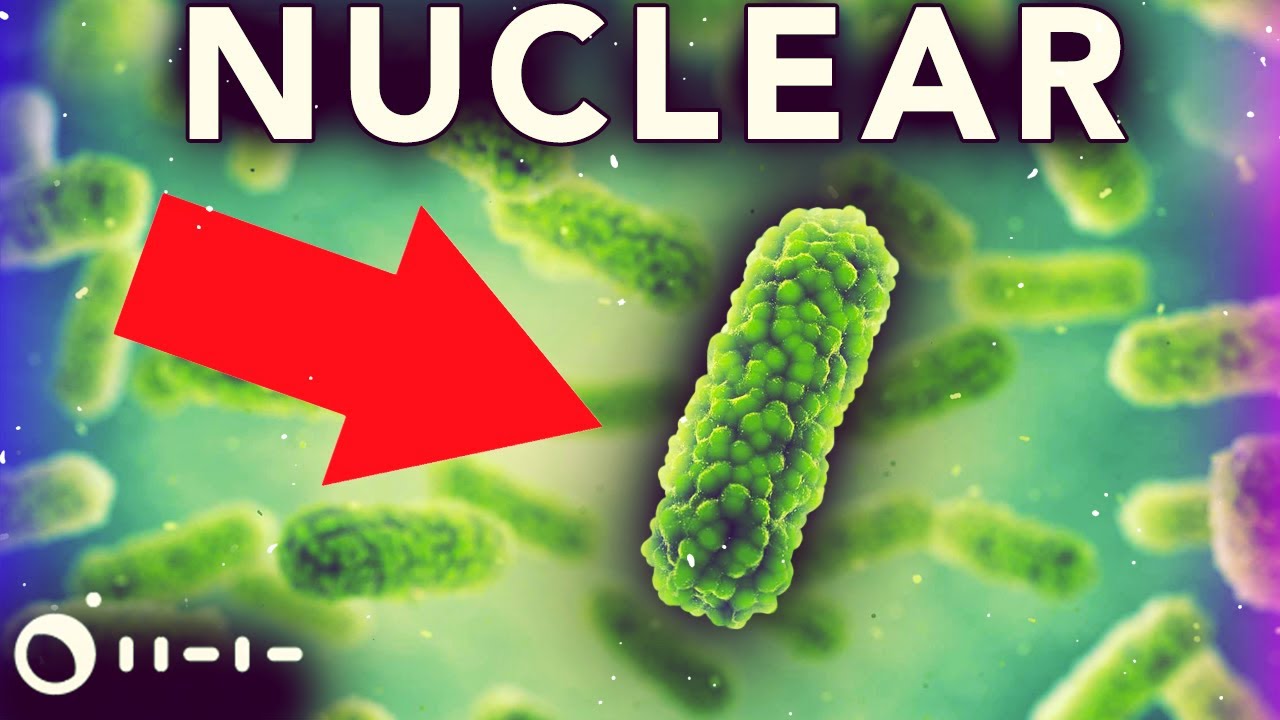 por que usinas NUCLEARES estão criando VIDA?