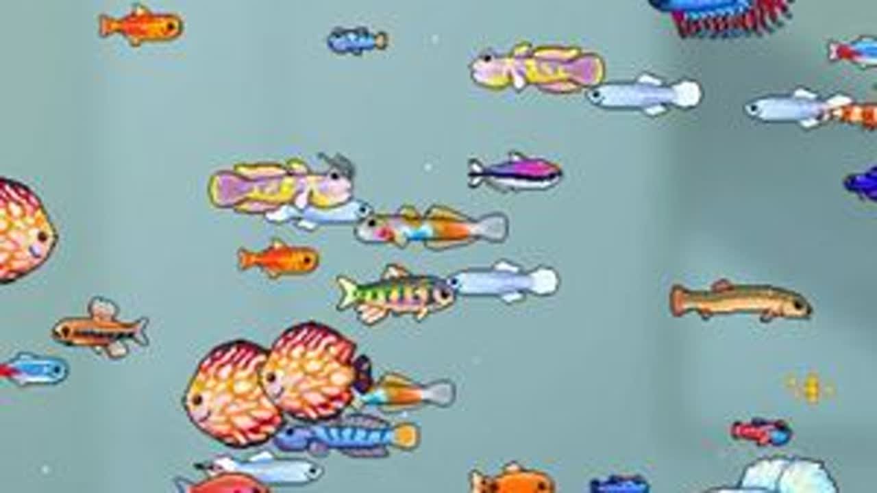 【欢乐水族馆】鱼王可以养了？还能带闪光？ 欢乐水族馆