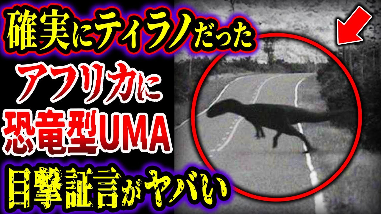 【ゆっくり解説】「間違いなくティラノサウルスだった」...アフリカで目撃された恐竜型UMAの正体は古代生物！？...目撃証言がヤバい【UMA・未確認生物】