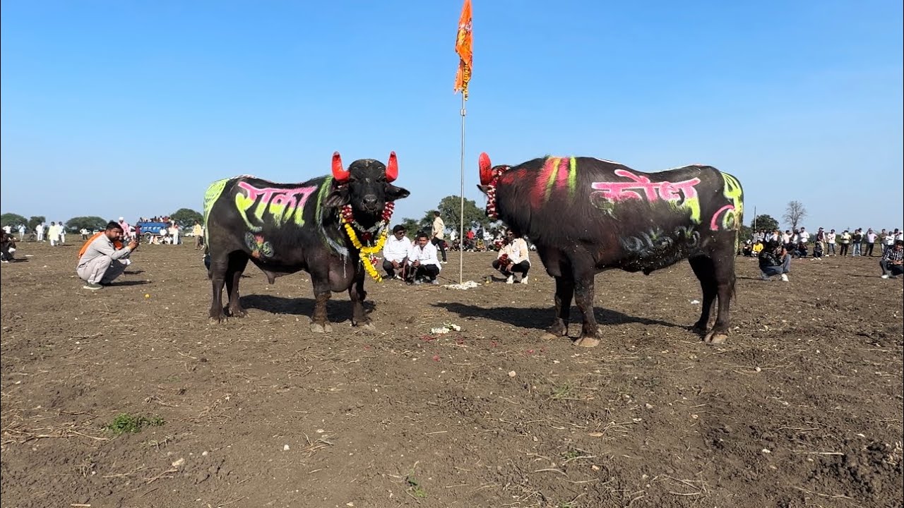  राका vs लश्कर pada ladai ujjain mp