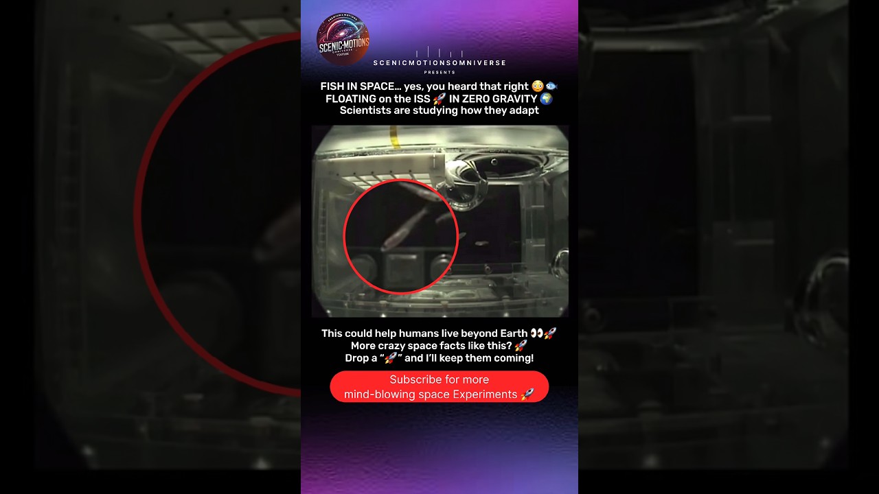 Fish in Space&hellip; They&rsquo;re Living on the ISS Right Now 😳🐟🚀