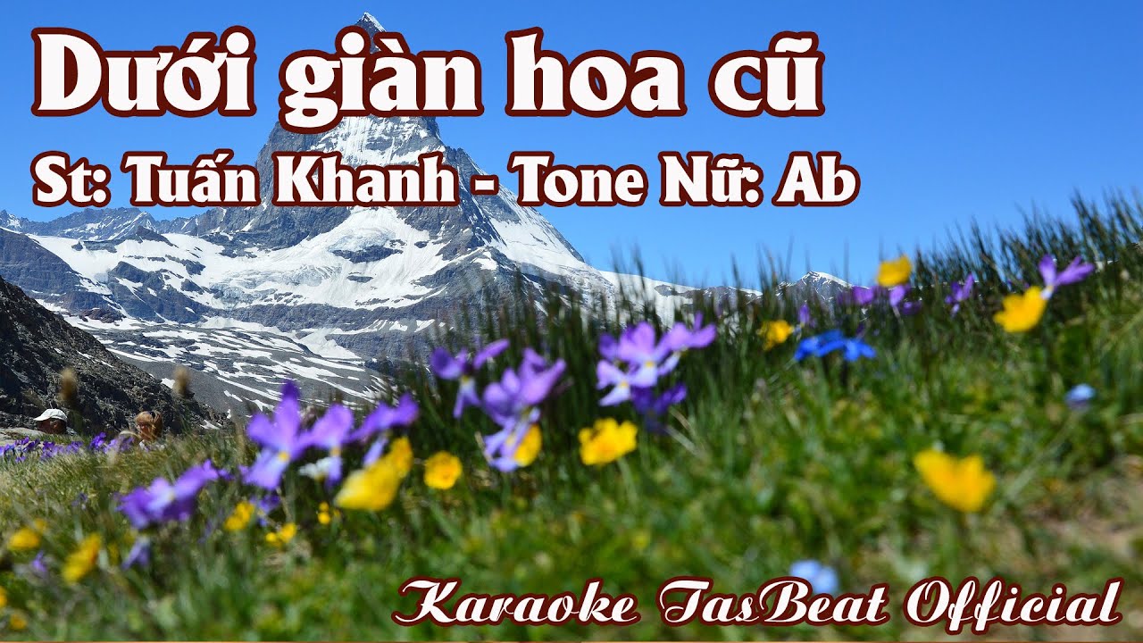 Karaoke Dưới Giàn Hoa Cũ Tone Nữ | TAS BEAT