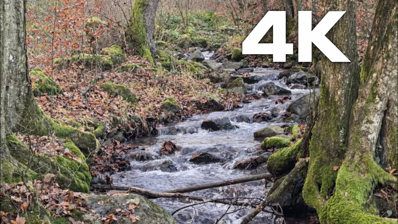 4K Natural sounds for back round and Meditation. No loop, no AI 