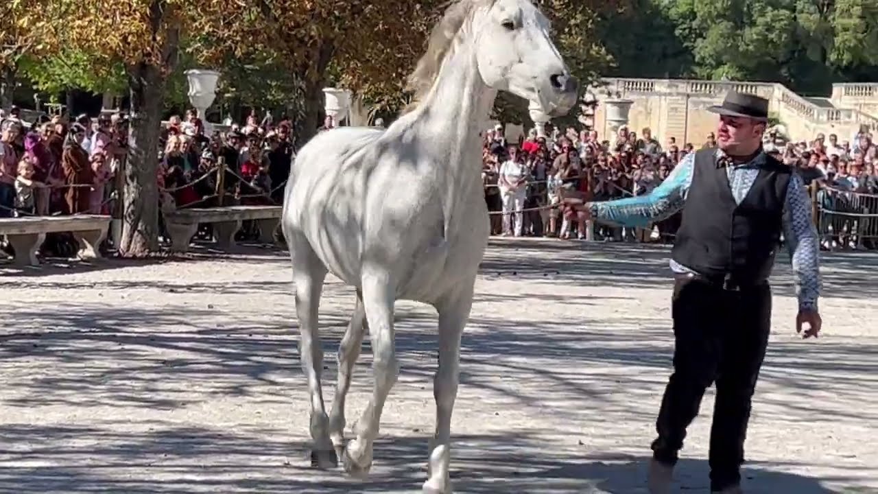 Feria des chevaux : le cheval qui danse...