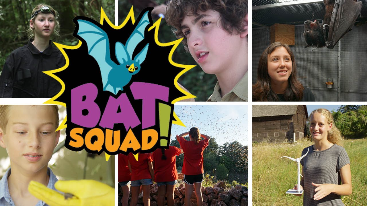 Bat Squad! Kids &mdash; выйдет на Неделе Бэтменов 2016