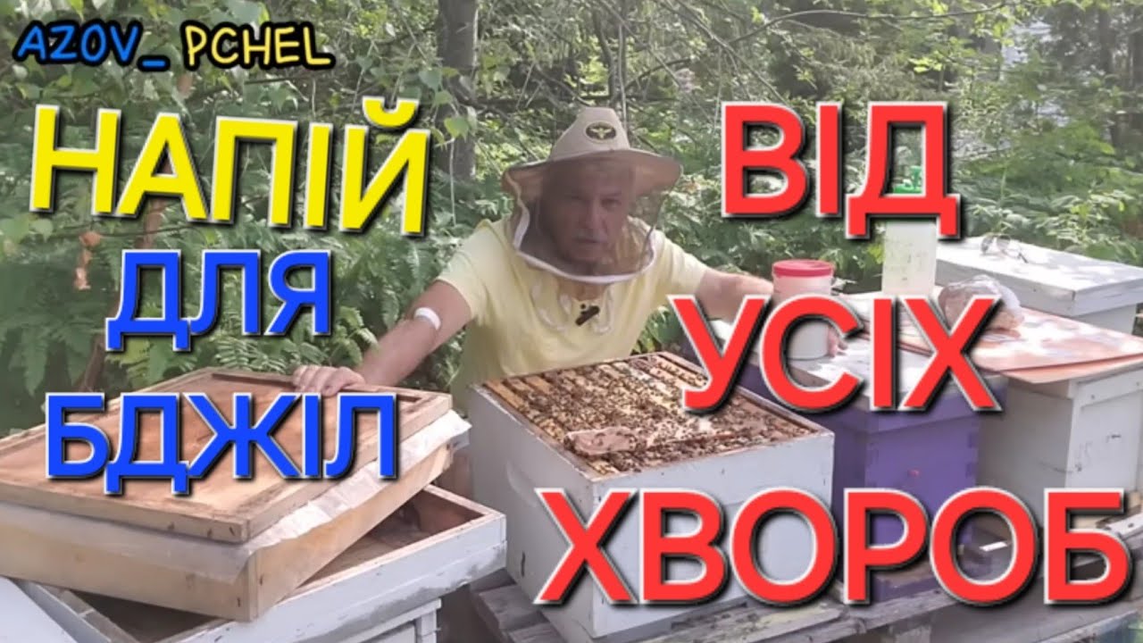 Готуємо напій для ШВИДКОГО РОСТУ бджолосімей... ВЕСНОЮ!!!