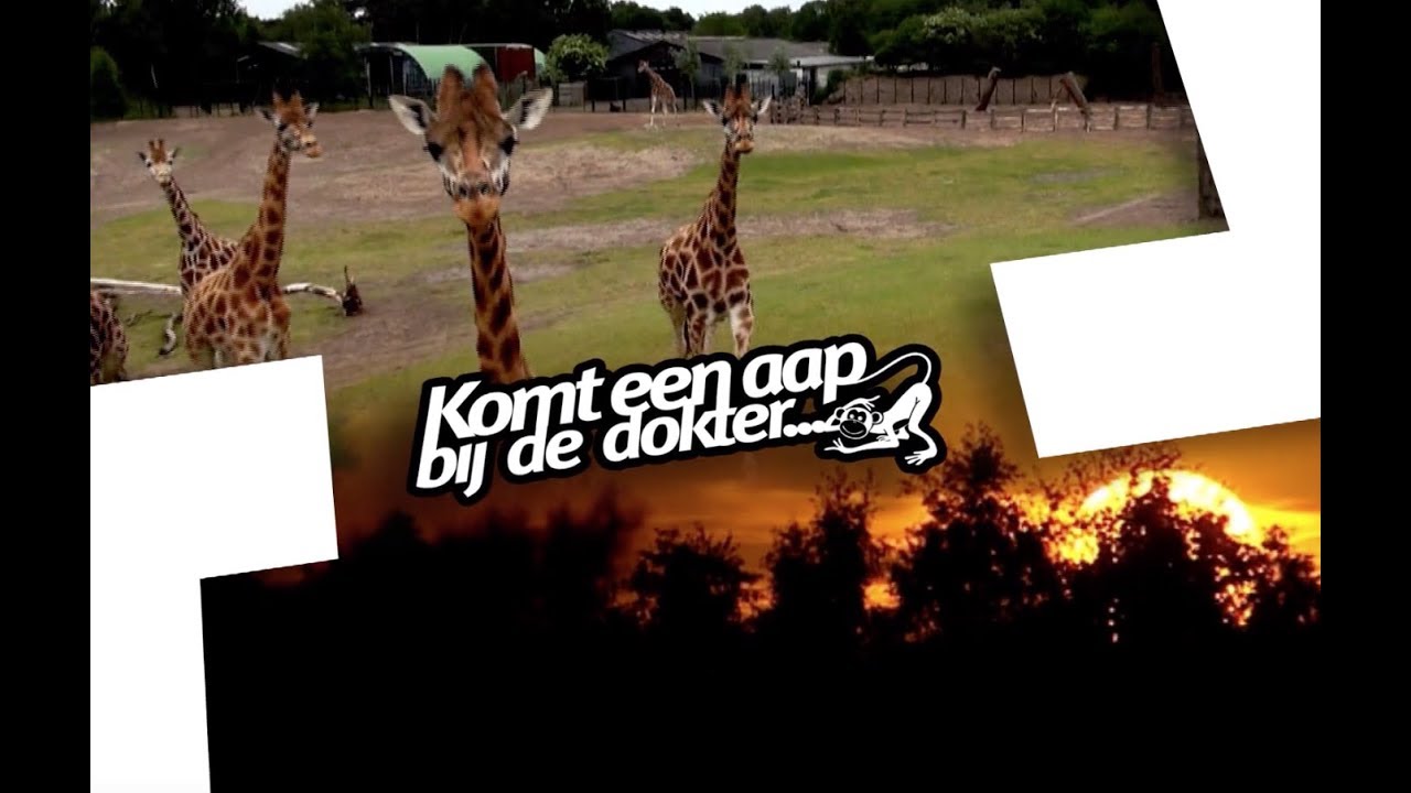 Komt een Aap bij de Dokter,  seizoen 7 afl. 7