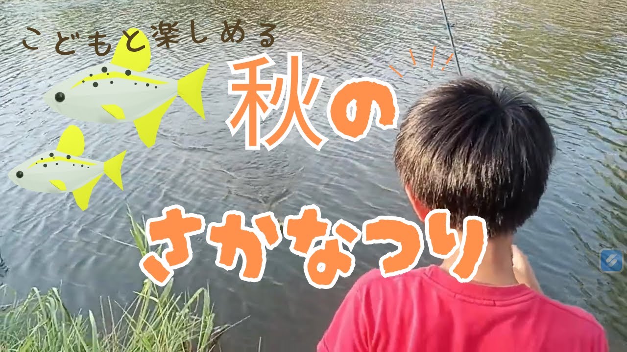 【秋の魚釣り】 ハゼ釣り・コトヒキ・スズキ