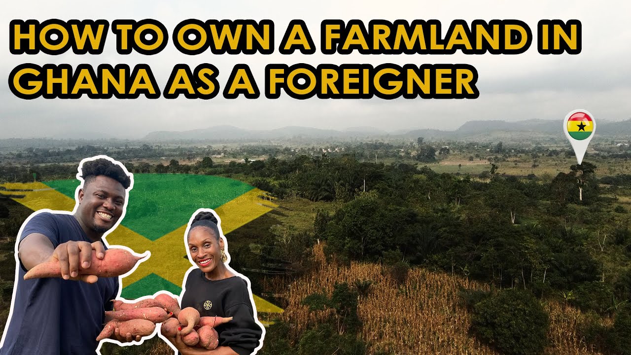 How This Jamaican Lady Owns 4 Acre Farmland In Ghana || Women Empowerment EP XII