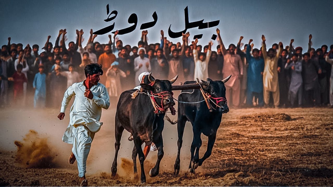 Thal Desert Rally 2025|| Bull Race Vlog | With Usman Tahir Jappa New Video 2025