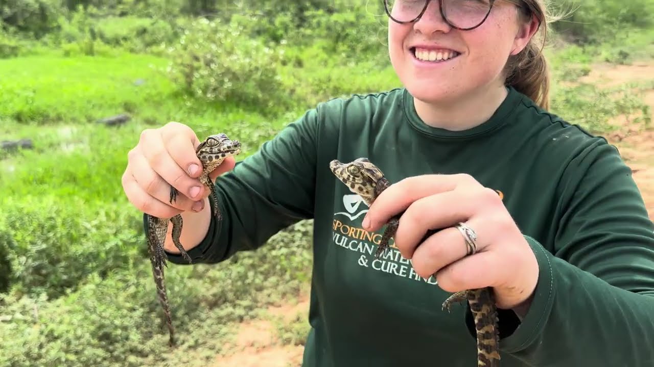 Herping the Paraguayan Chaco - March 2023